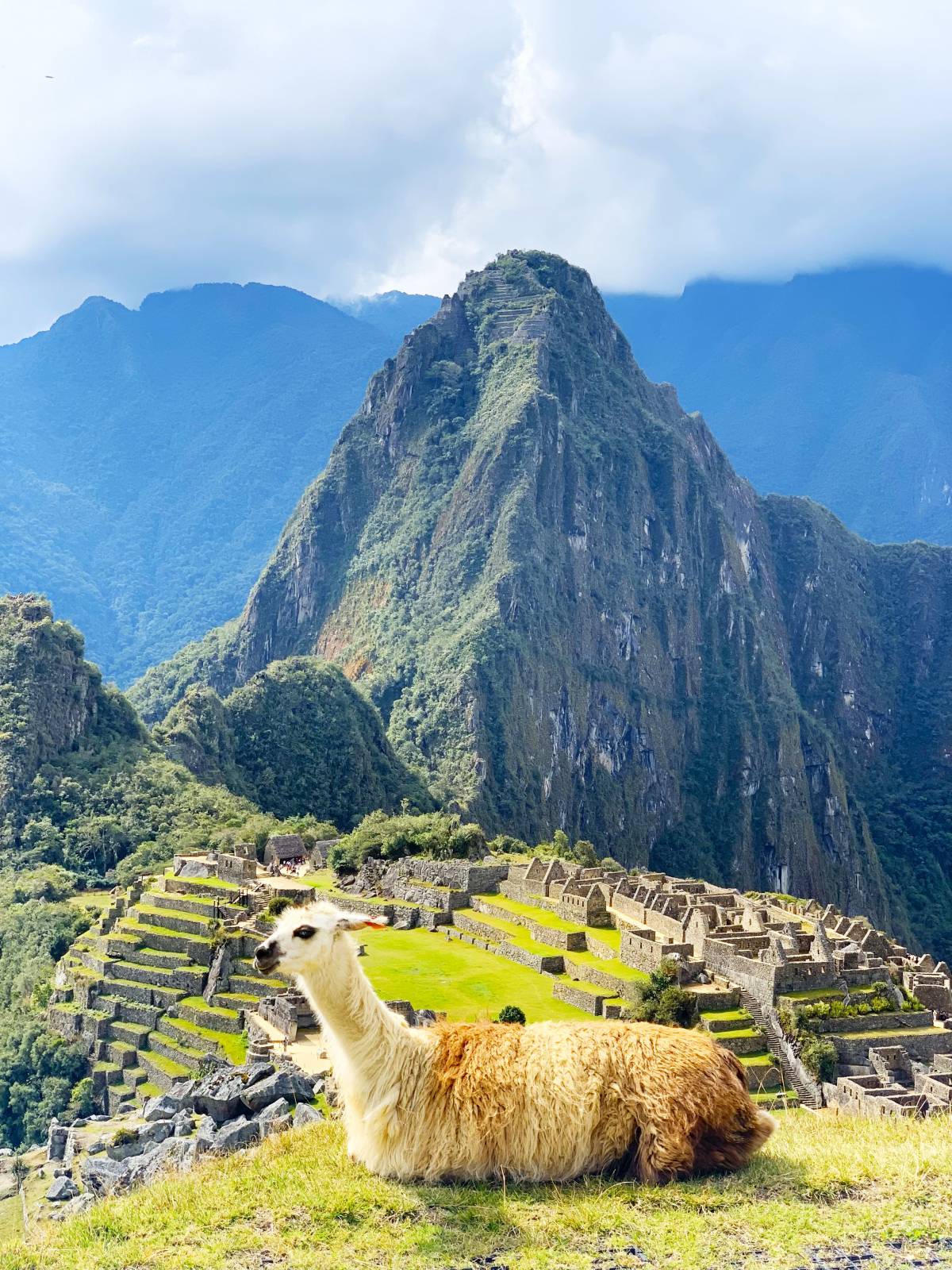 Informations touristiques sur le Machu Picchu