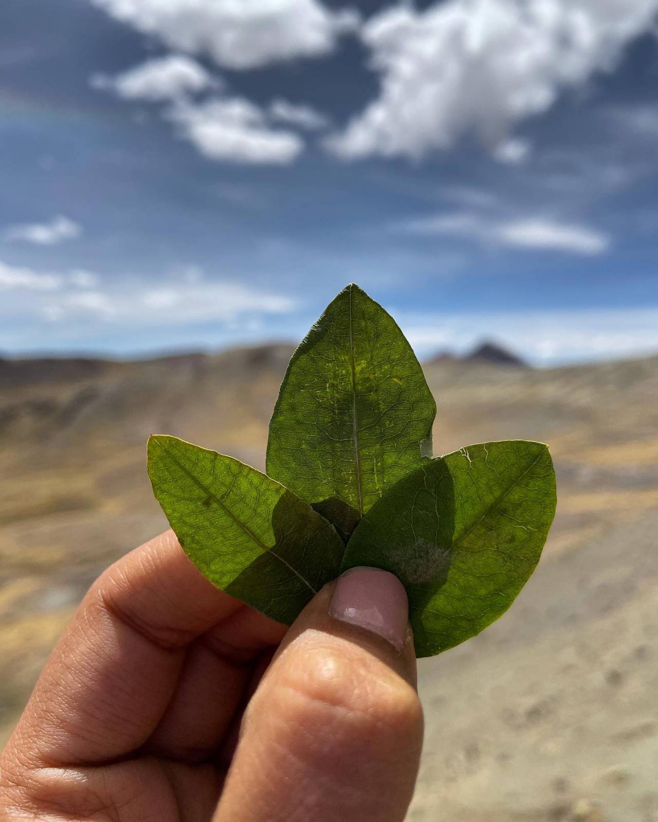 Adicione um título agora 1627664587