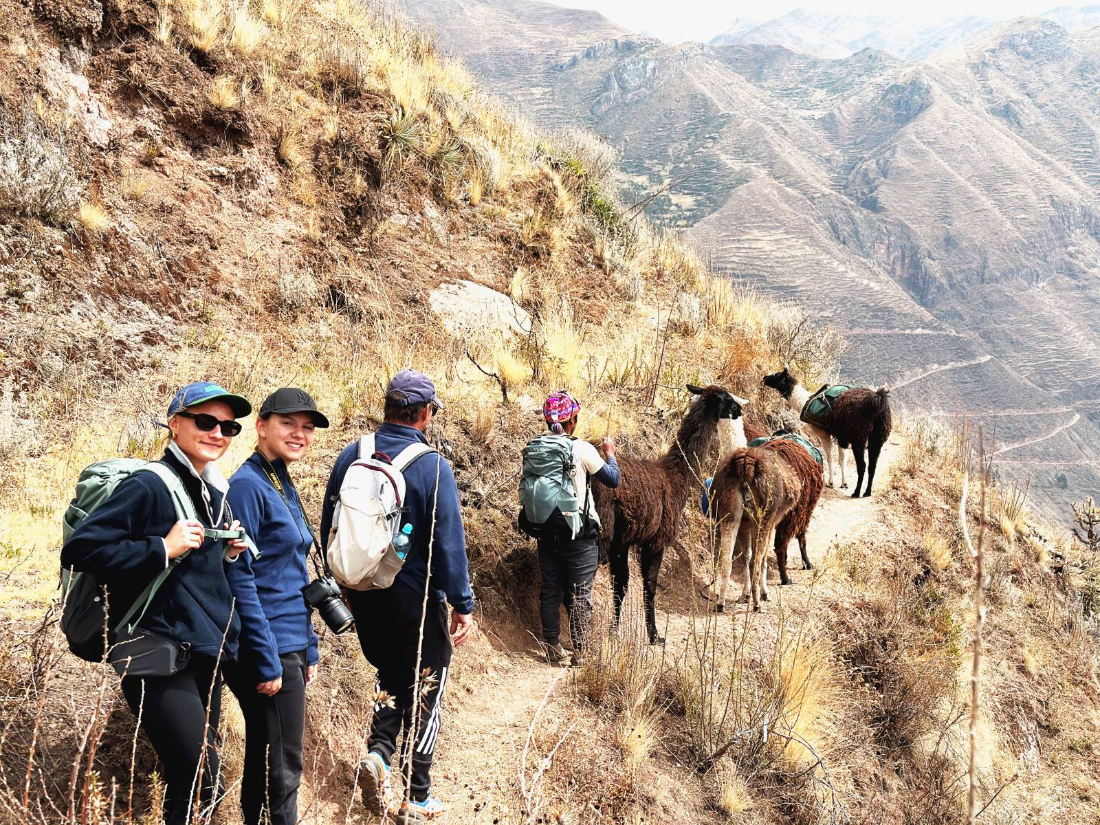 La Valle Sacré accompagné de lamas